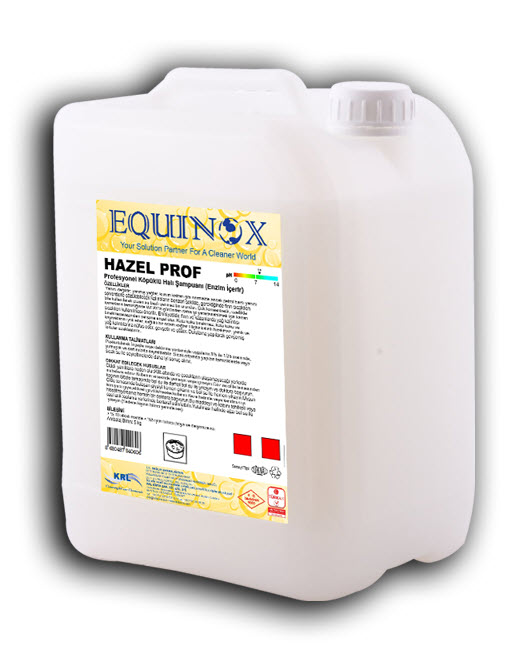 EQUINOX HAZEL PROF